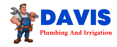 Trusted plumber in DE WITT